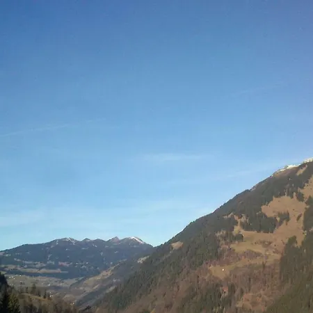 Neuberg Alm Sankt Gallenkirch